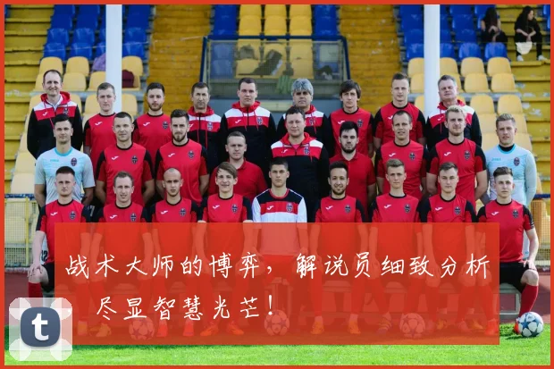 战术大师的博弈，解说员细致分析，尽显智慧光芒！